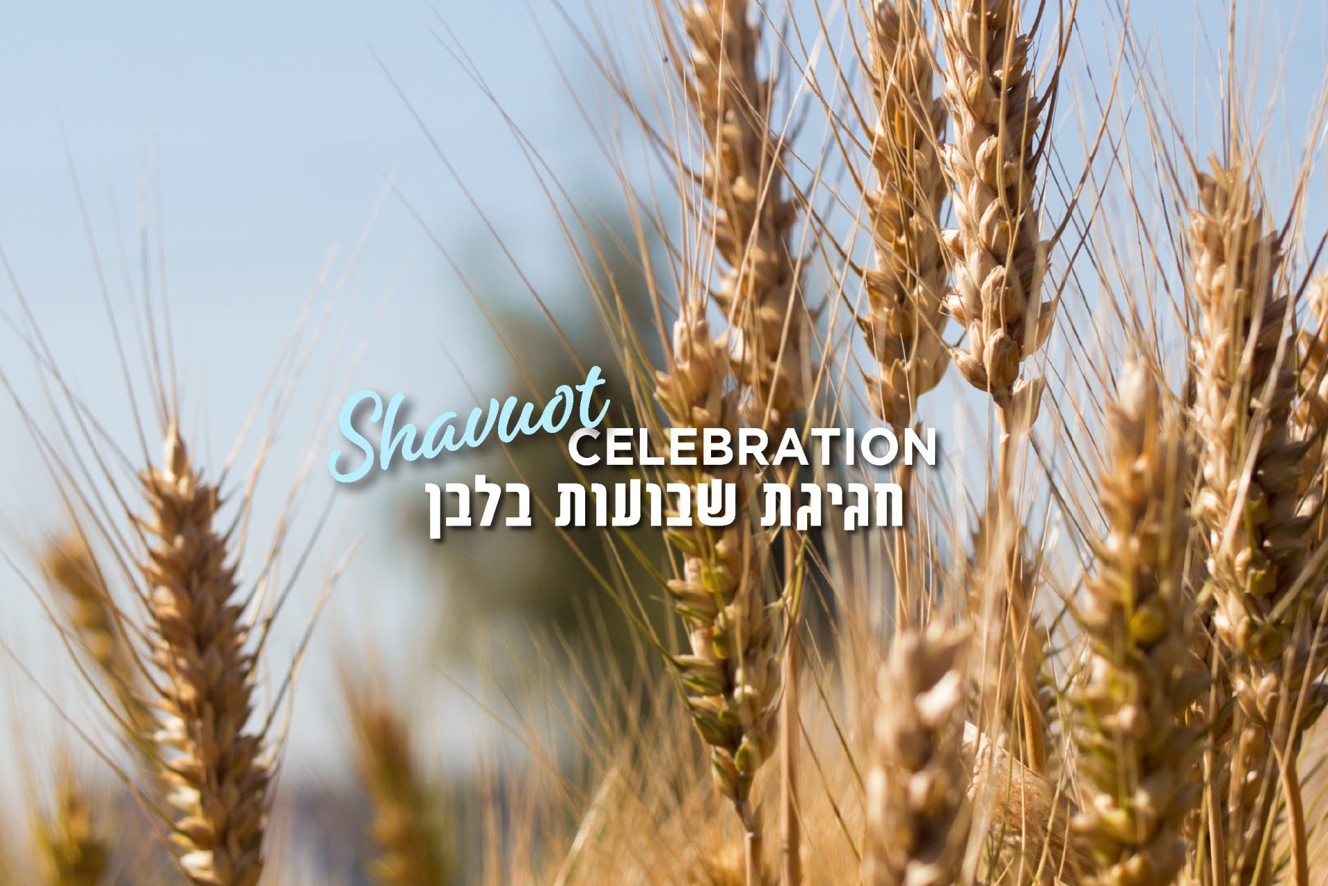 Shavuot_8-01